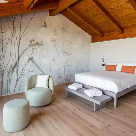 Claviva - Natural Living * Clavesana