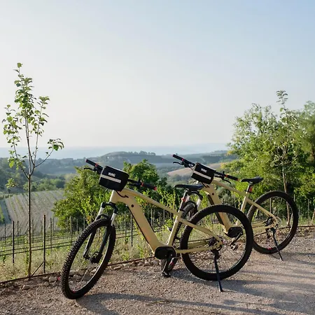 Appartement Claviva - Natural Living